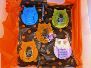 Owl Wax Melt Set